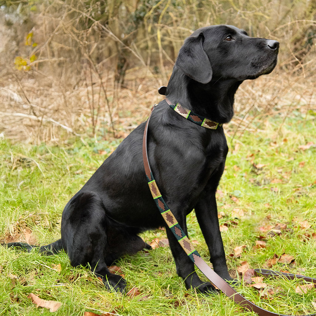 Benji & Flo Sublime Polo Leather Dog Lead - Sage/Bright Green - 115cm