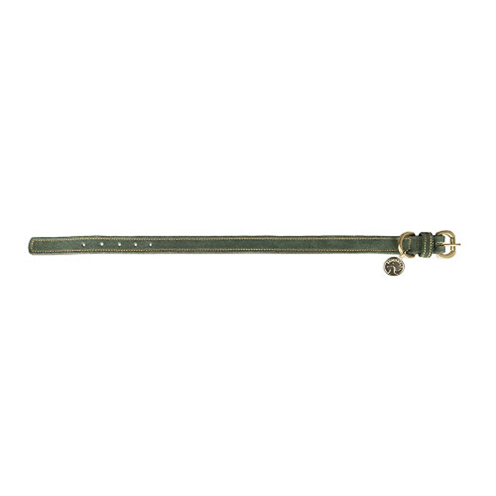 Benji & Flo Noble Suede Dog Collar - Green/Gold - X Small