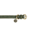 Benji & Flo Noble Suede Dog Collar - Green/Gold - X Small