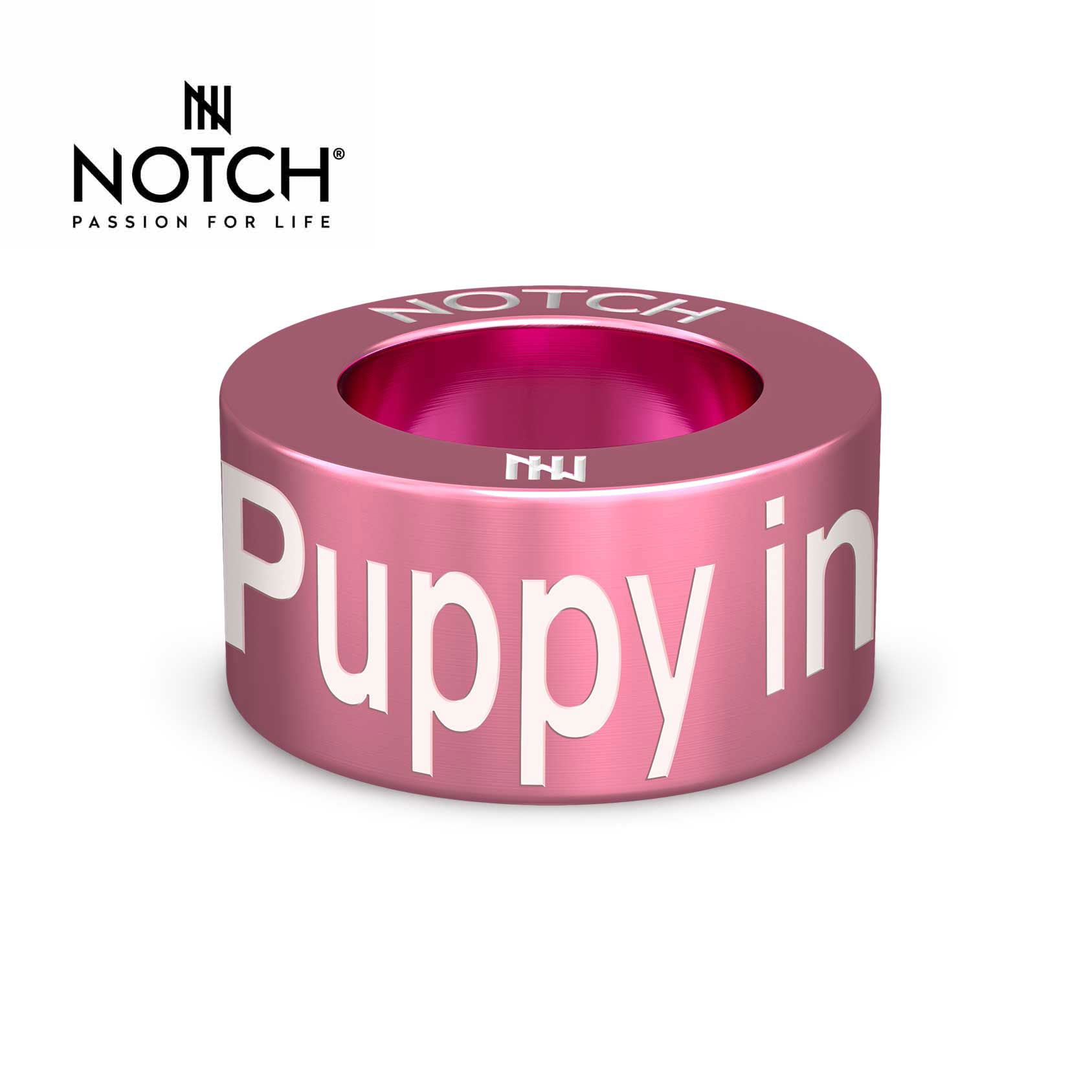 Crufts Best Puppy In Breed NOTCH Charm