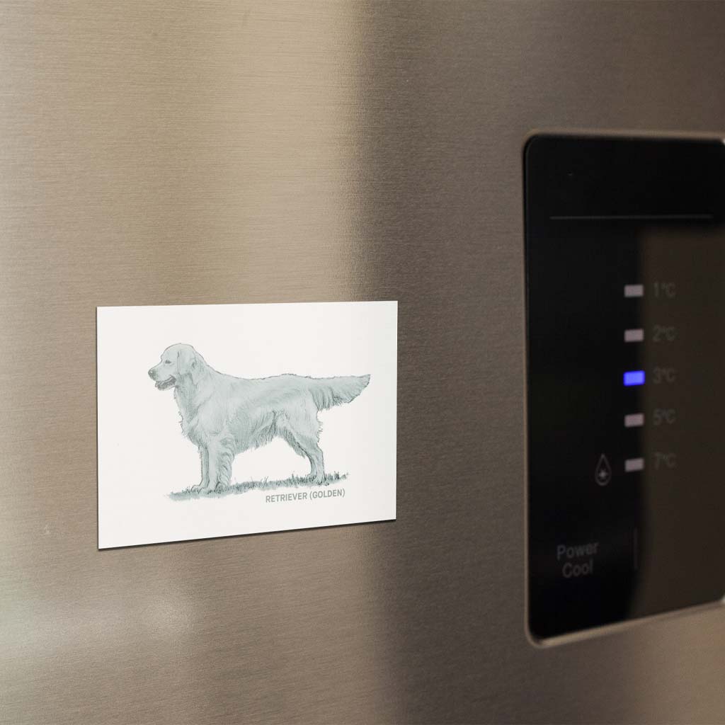Golden Retriever Sage Fridge Magnet
