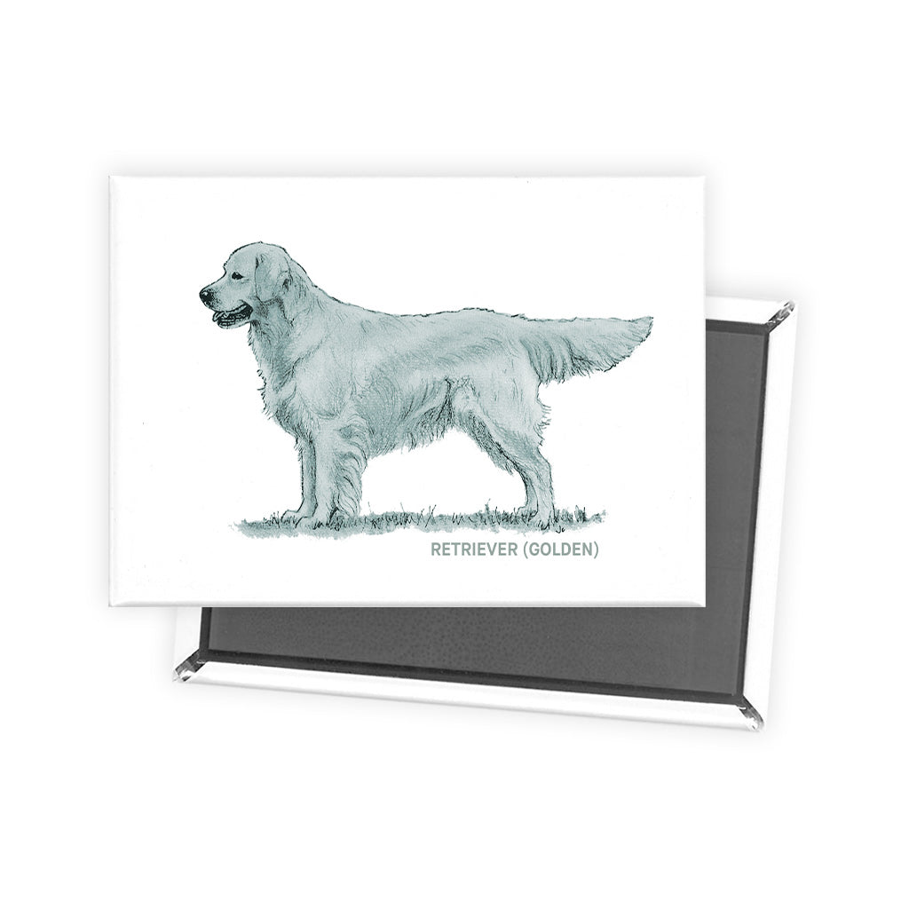 Golden Retriever Sage Fridge Magnet