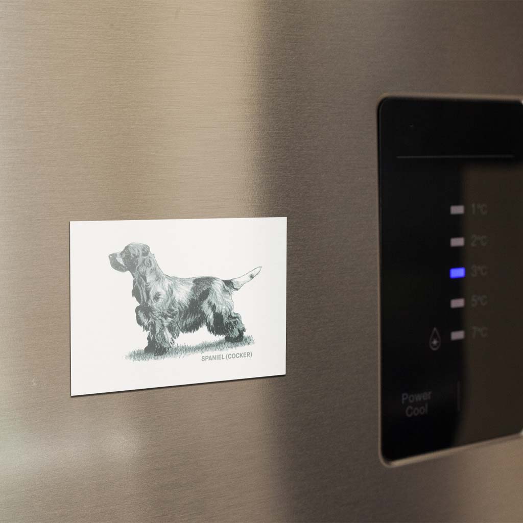 Cocker Spaniel Sage Fridge Magnet