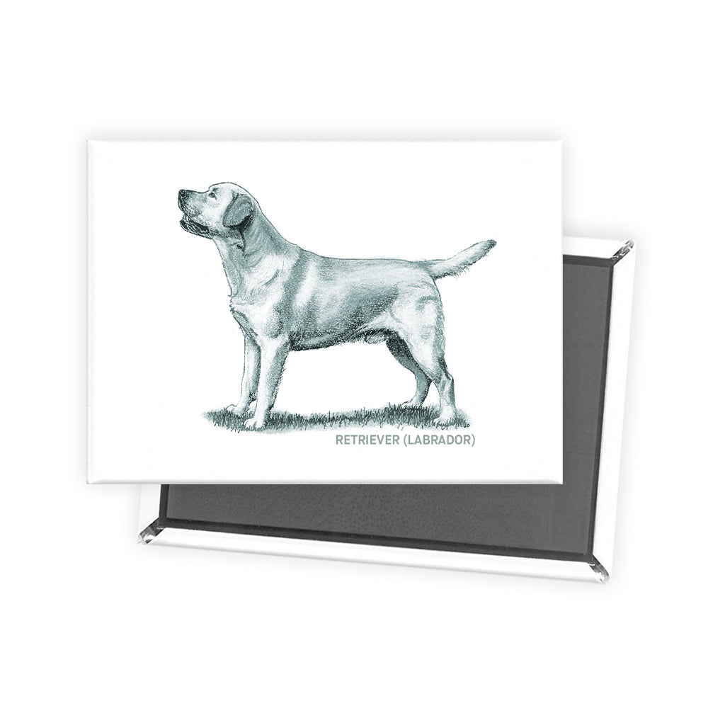 Labrador Retriever Sage Fridge Magnet