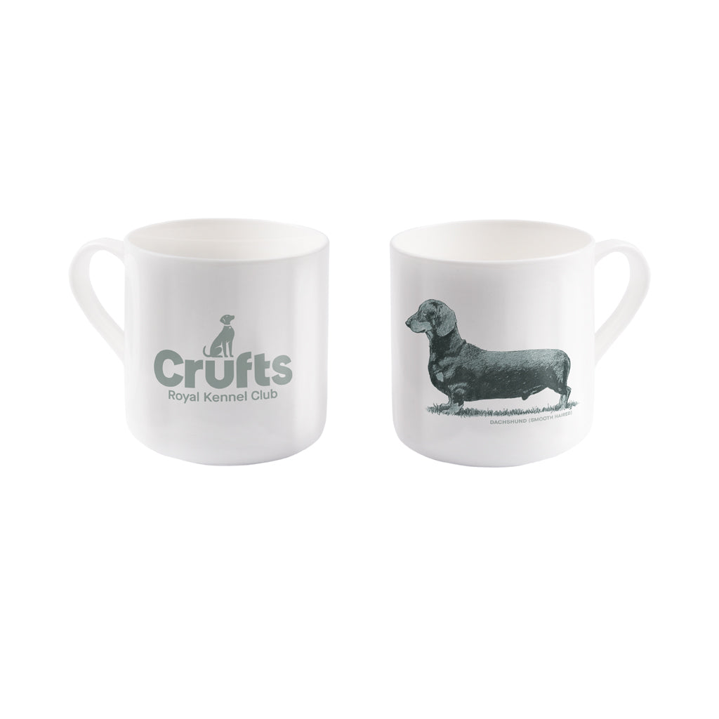 Dachshund (Smooth Haired) Sage Bone China Mug