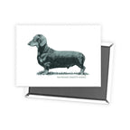 Dachshund (Smooth Haired) Sage Fridge Magnet