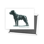 Staffordshire Bull Terrier Sage Fridge Magnet