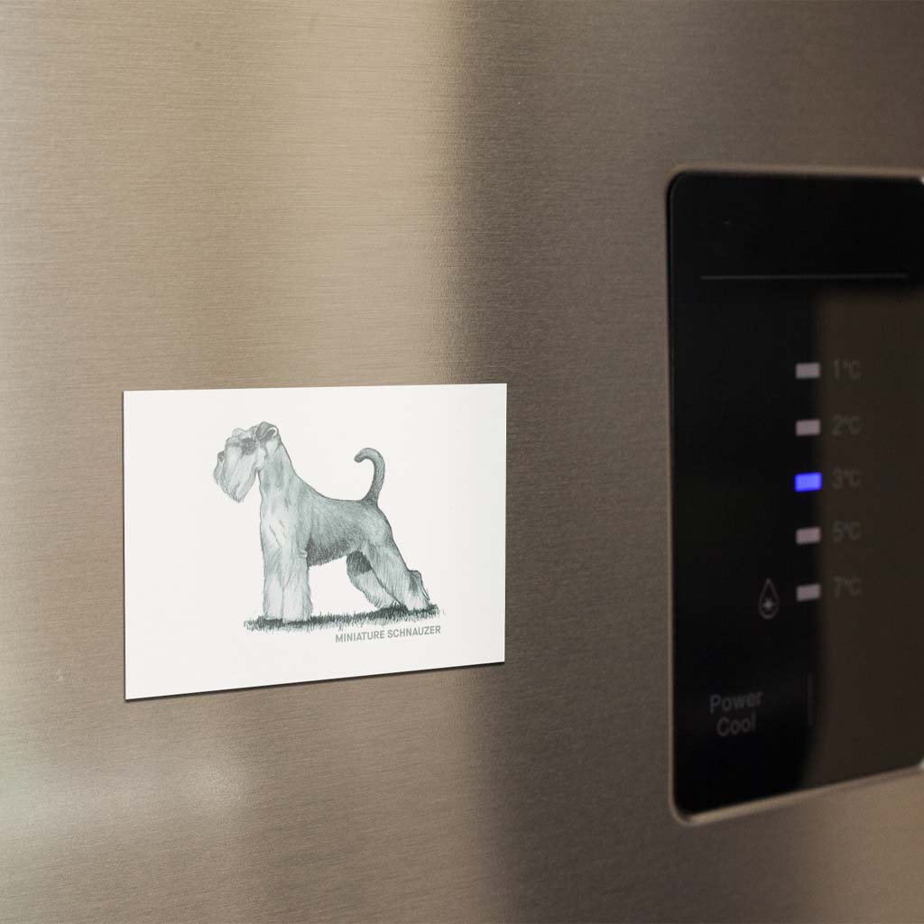 Miniature Schnauzer Sage Fridge Magnet