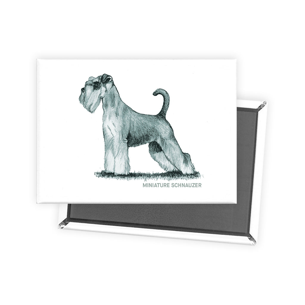 Miniature Schnauzer Sage Fridge Magnet