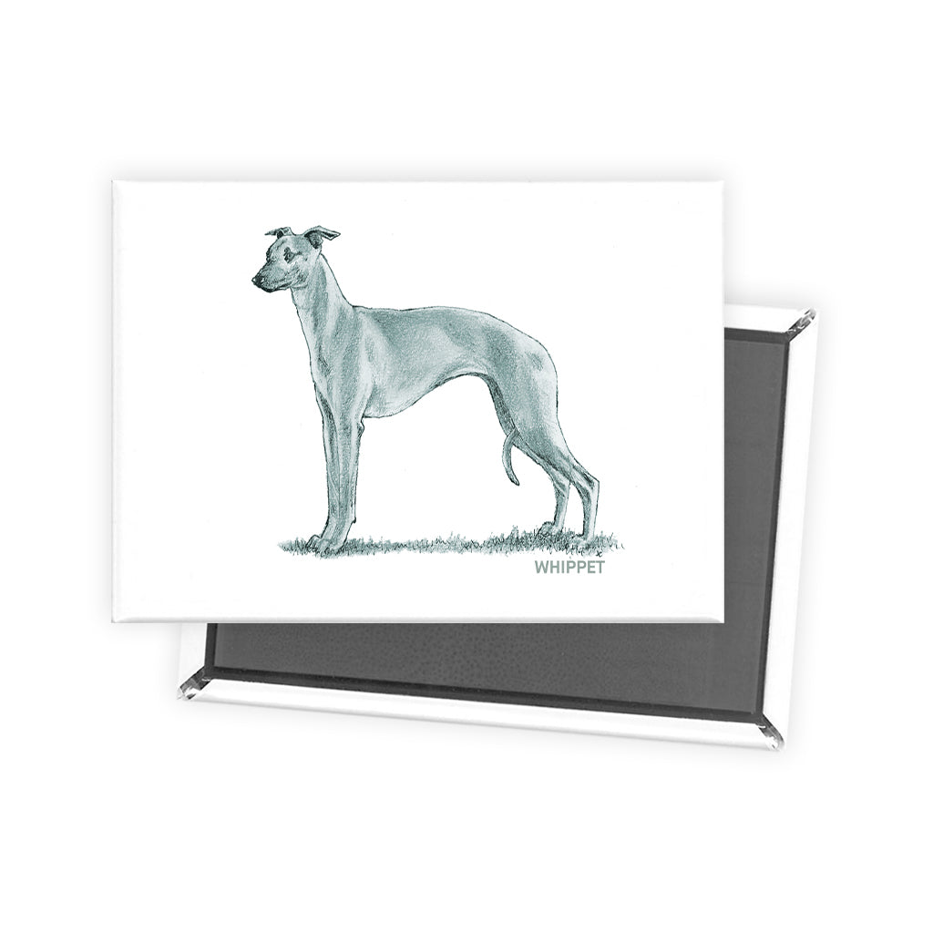 Whippet Sage Fridge Magnet
