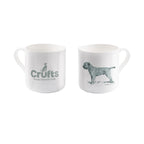 Border Terrier Sage Bone China Mug
