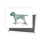 Border Terrier Sage Fridge Magnet
