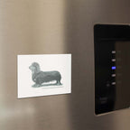 Dachshund (Miniature Long Haired) Sage Fridge Magnet