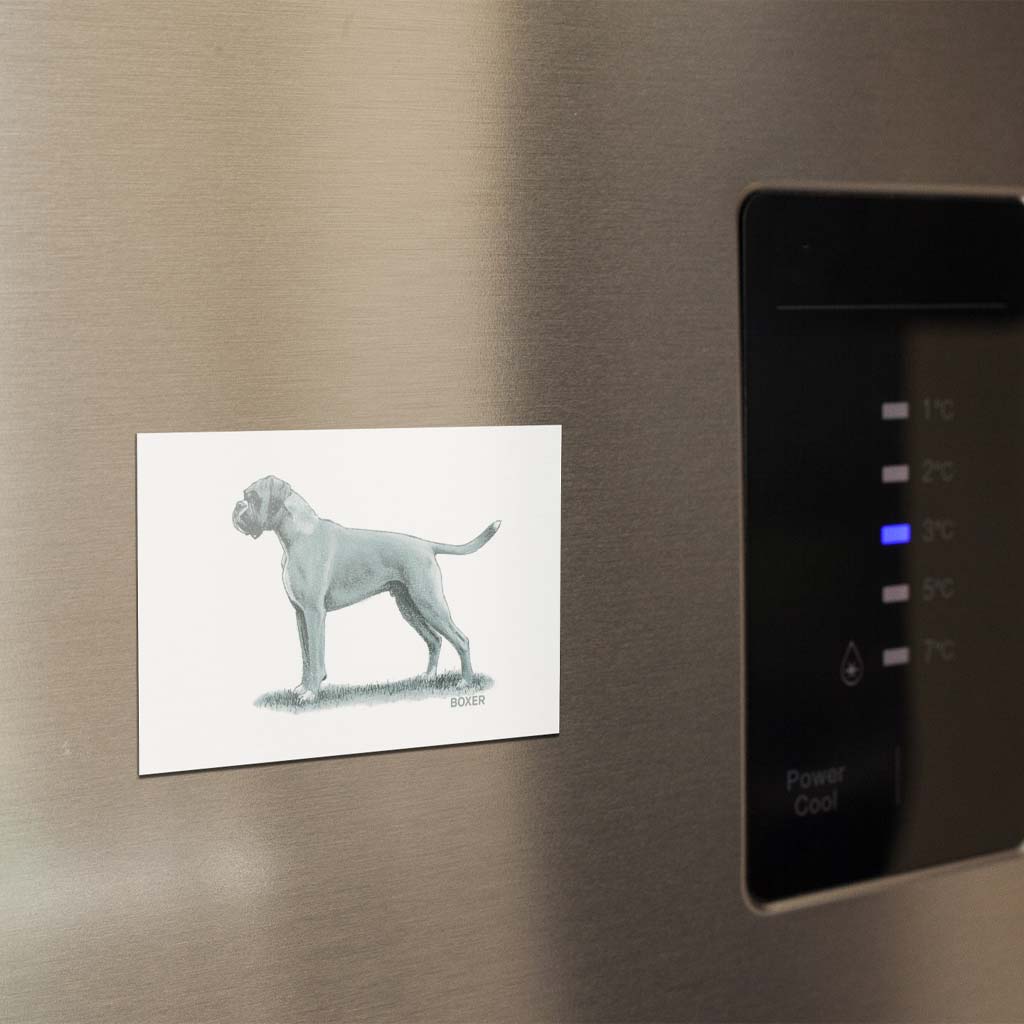 Boxer Sage Fridge Magnet