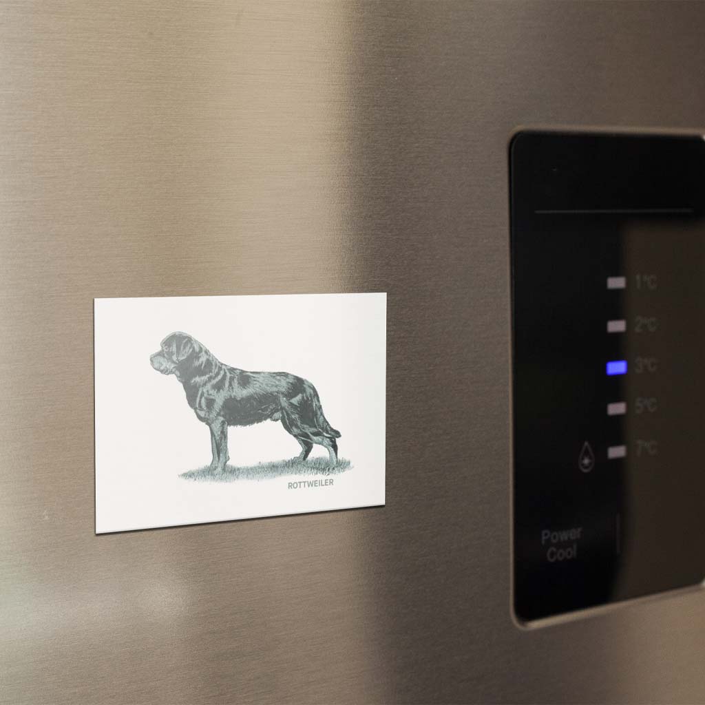 Rottweiler Sage Fridge Magnet