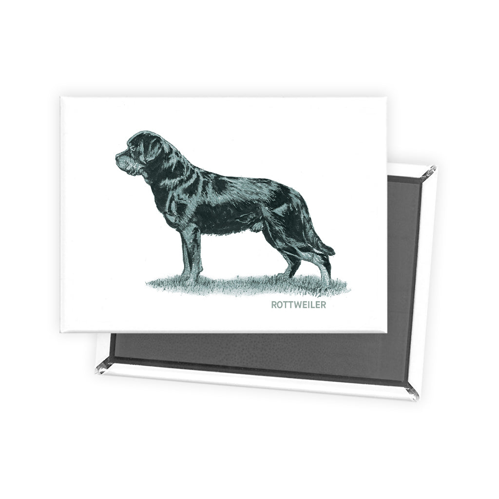 Rottweiler Sage Fridge Magnet