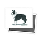 Border Collie Sage Fridge Magnet