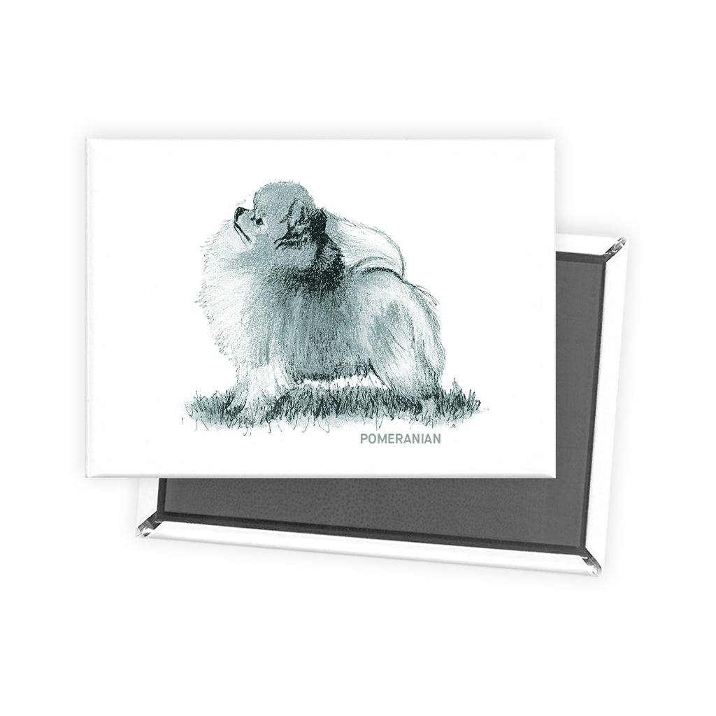 Pomeranian Sage Fridge Magnet