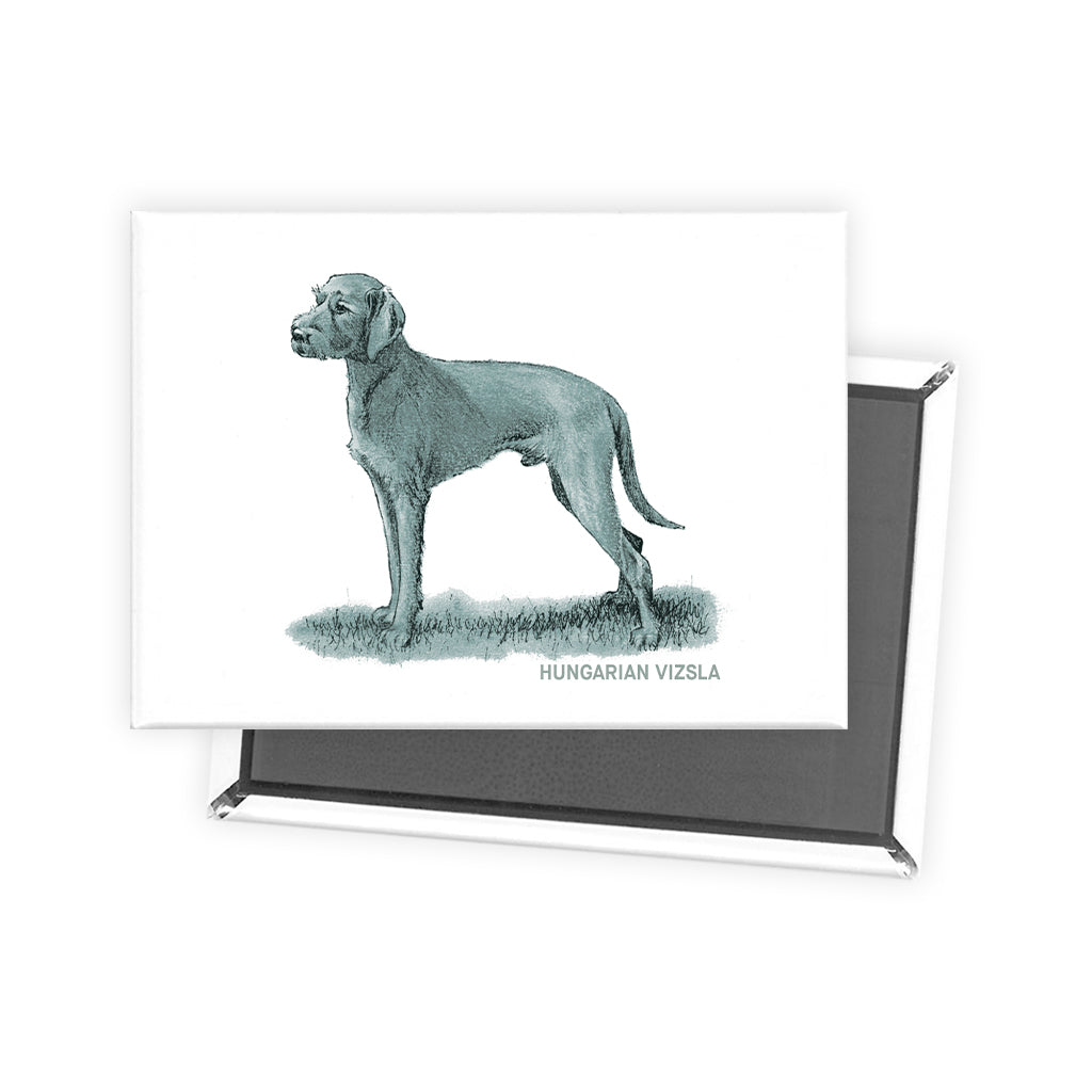 Hungarian Vizsla Sage Fridge Magnet