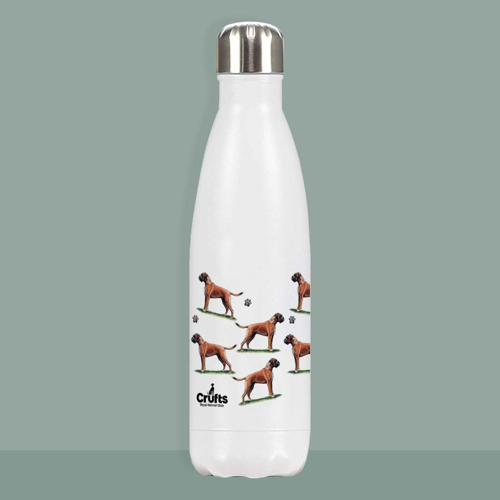 Boxer Premium Water Bottle