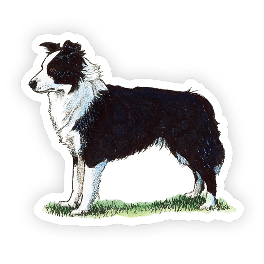 Crufts Border Collie Sticker