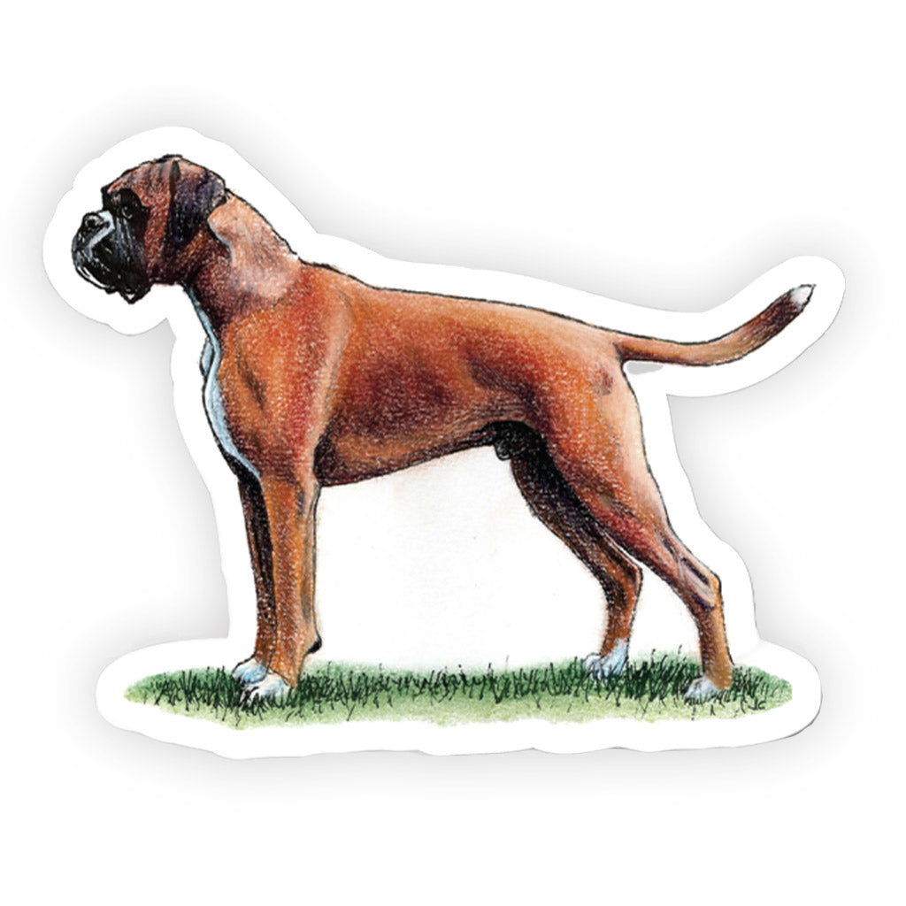Crufts Boxer Sticker