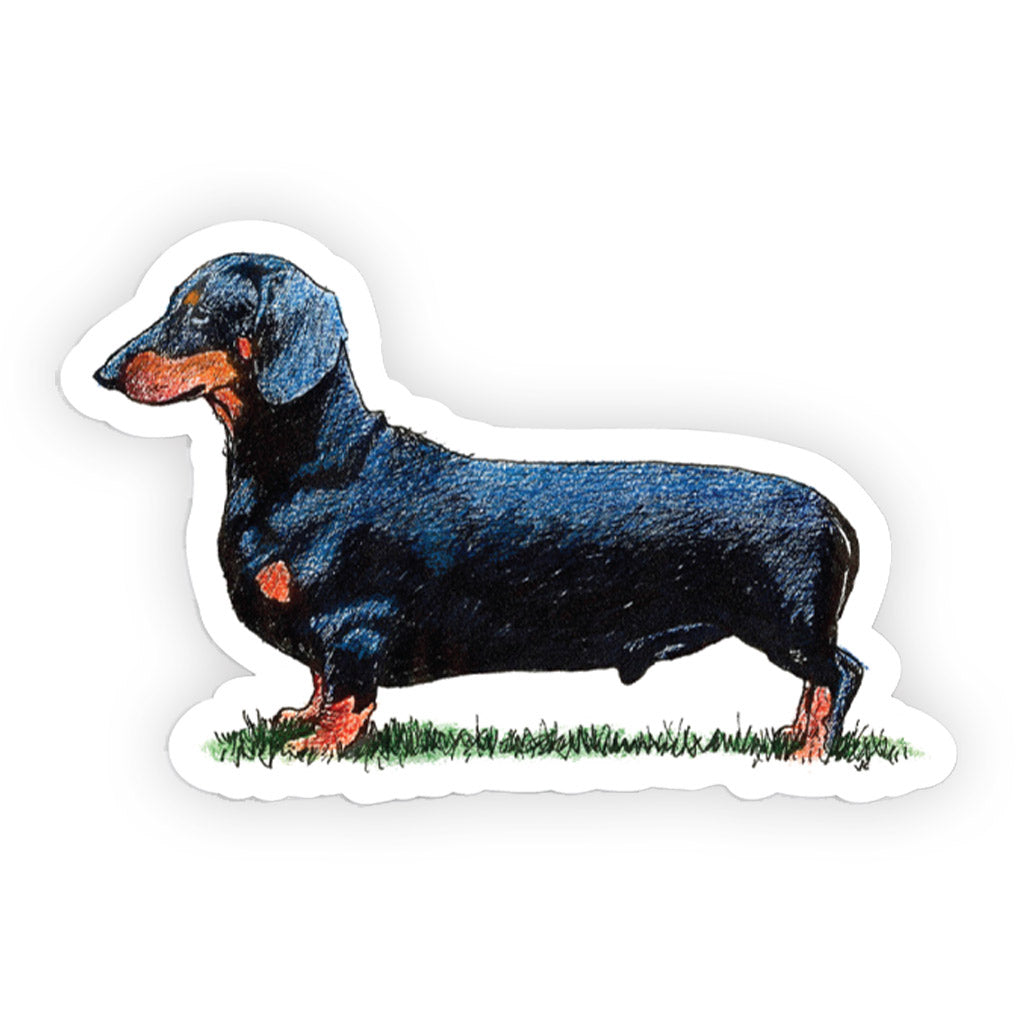 Crufts Dachshund ( Smooth Haired ) Sticker