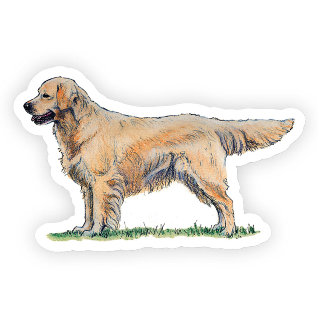 Crufts Golden Retriever Sticker