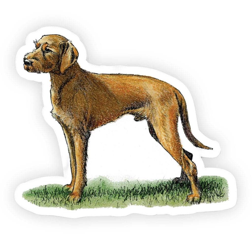Crufts Hungarian Vizsla Sticker