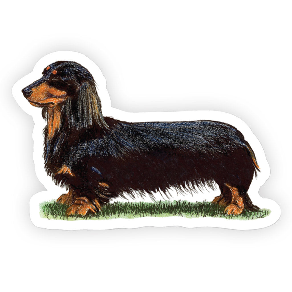 Crufts Dachshund ( Miniature Long Haired ) Sticker