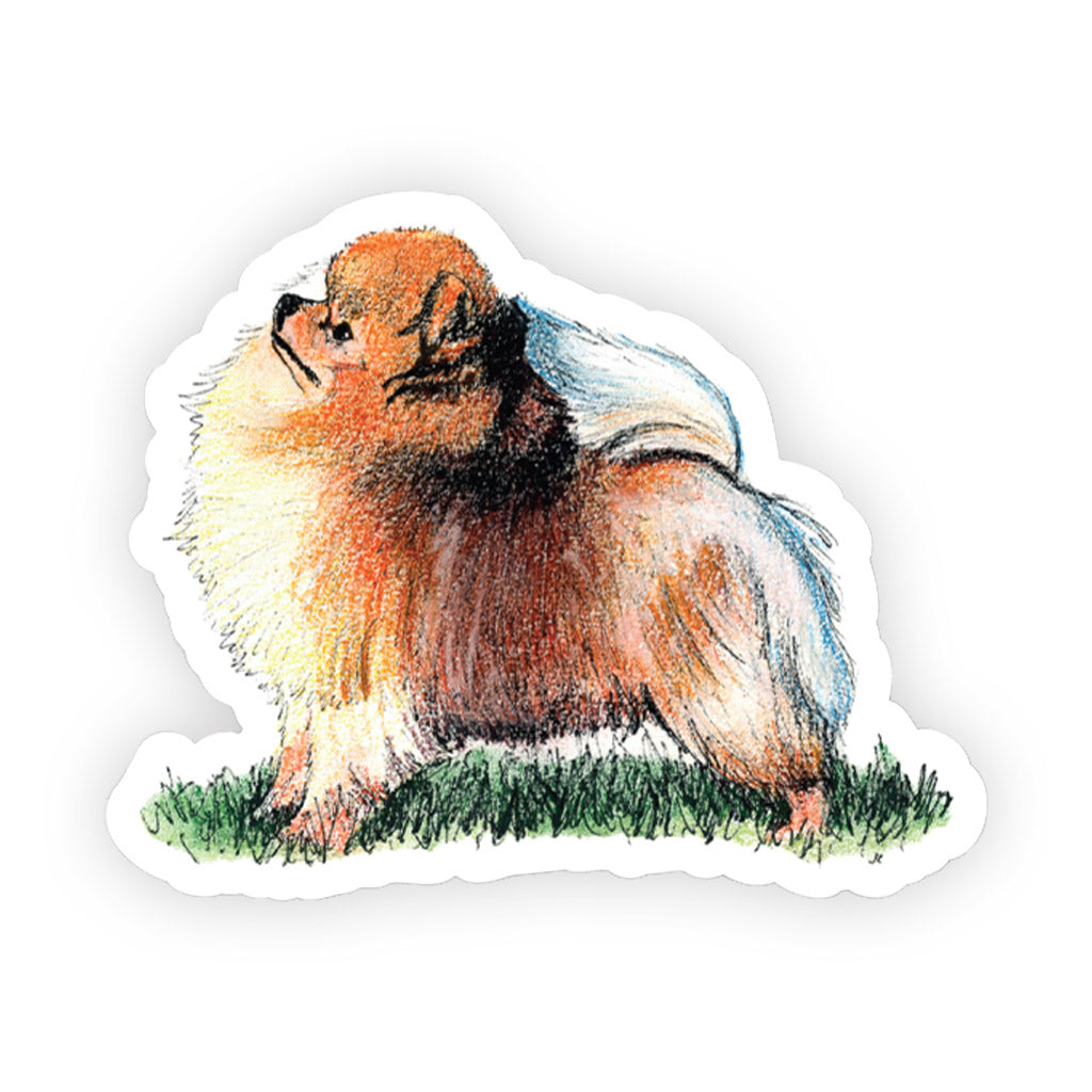 Crufts Pomeranian Sticker