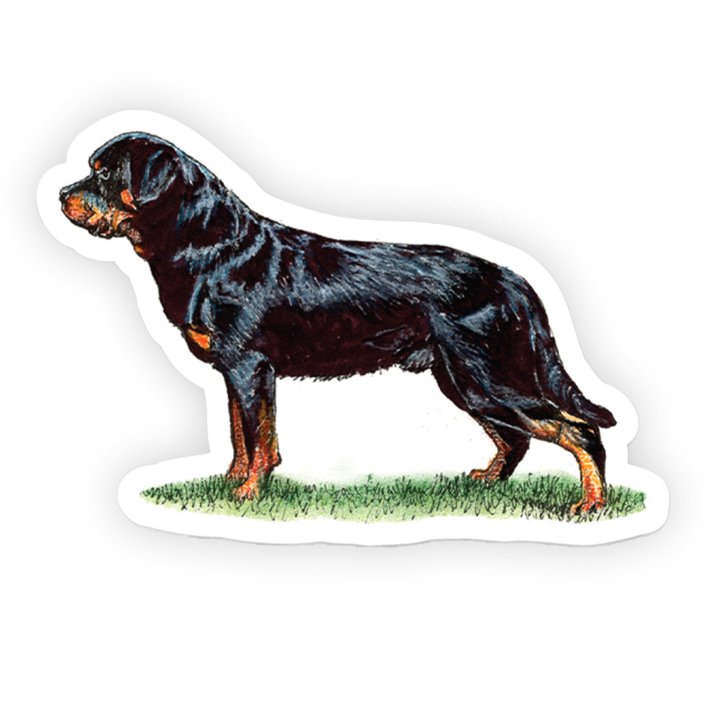 Crufts Rottweiler Sticker