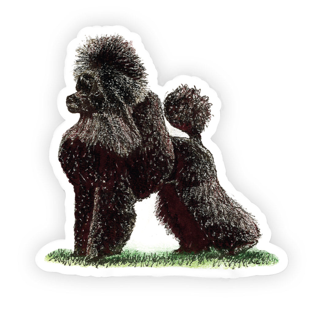 Crufts Poodle (Toy) Sticker