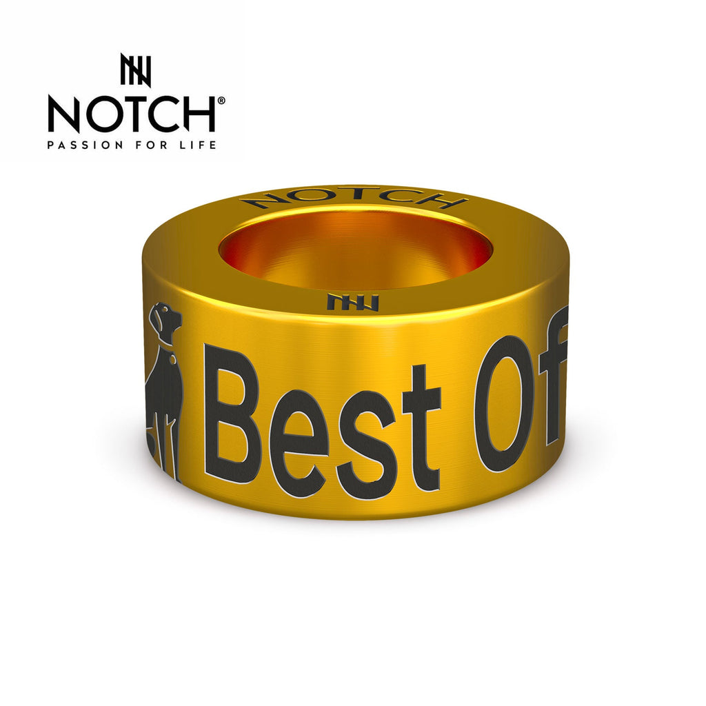 Crufts Best of Breed NOTCH Charm