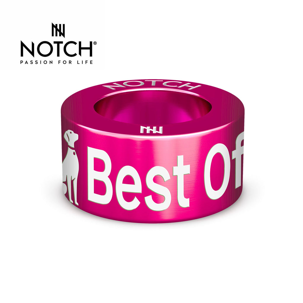 Crufts Best of Breed NOTCH Charm