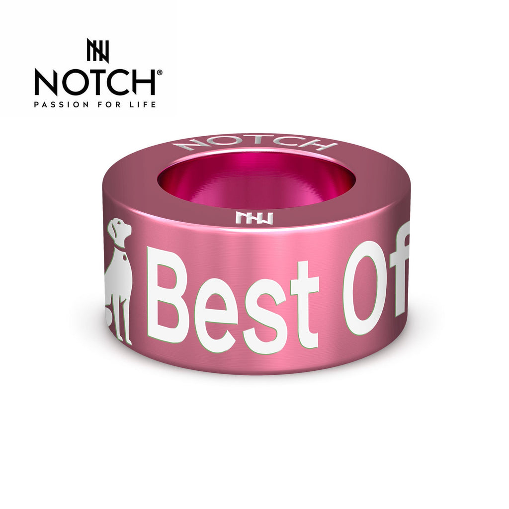 Crufts Best of Breed NOTCH Charm