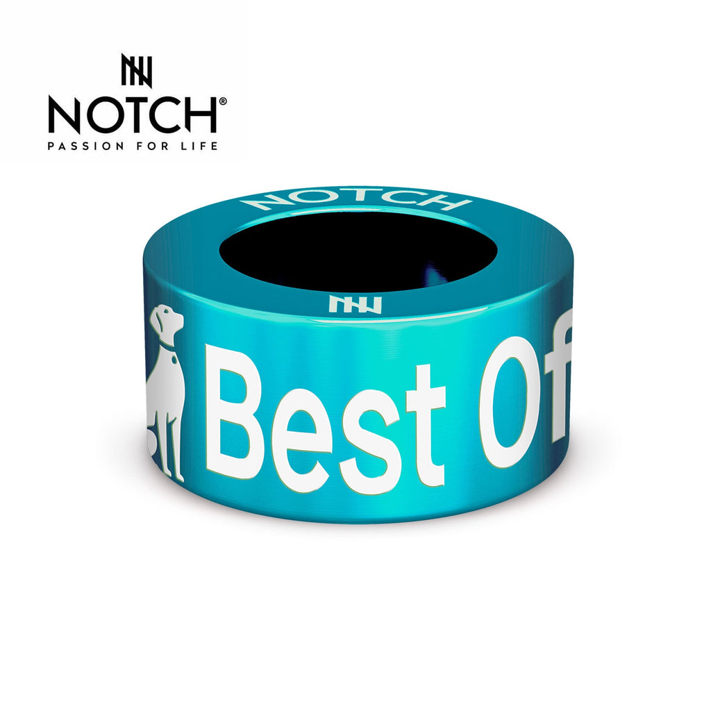 Crufts Best of Breed NOTCH Charm