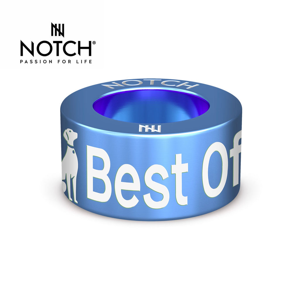 Crufts Best of Breed NOTCH Charm