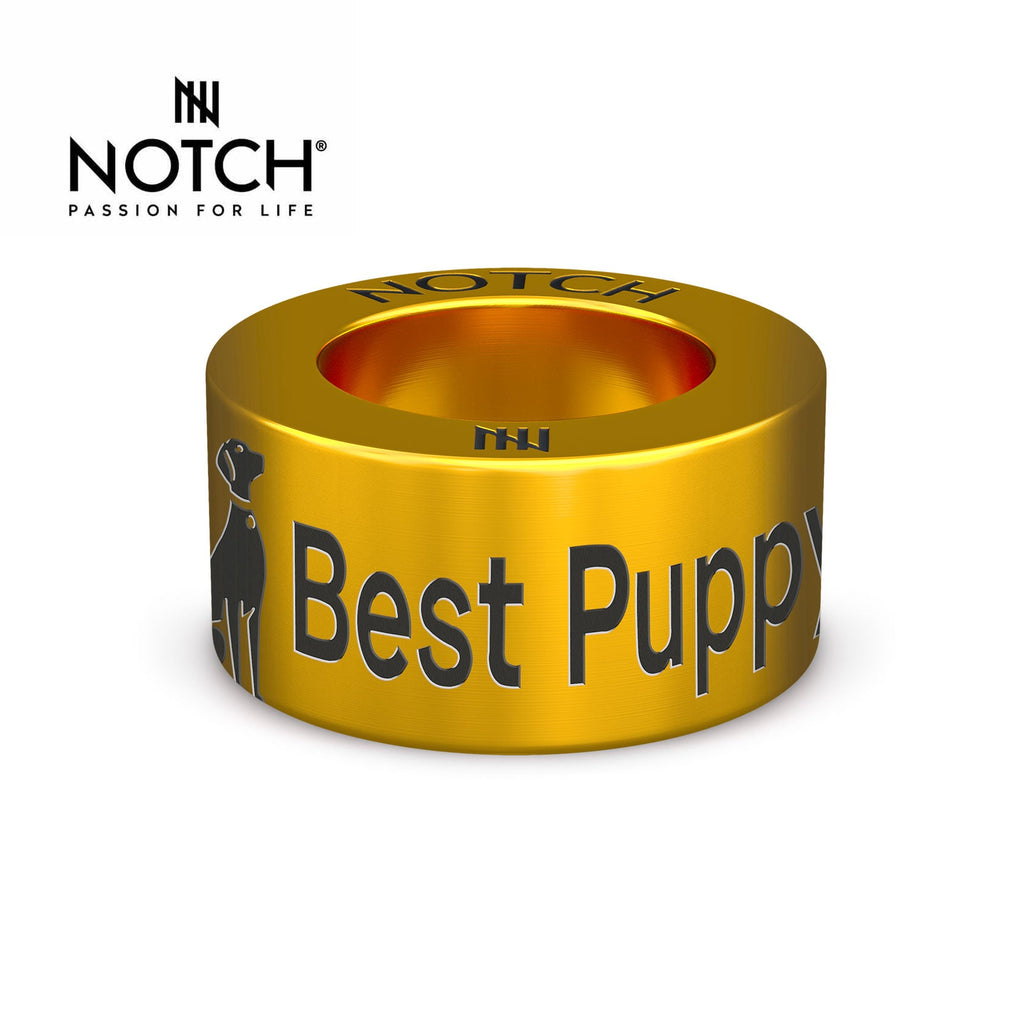 Crufts Best Puppy In Breed NOTCH Charm