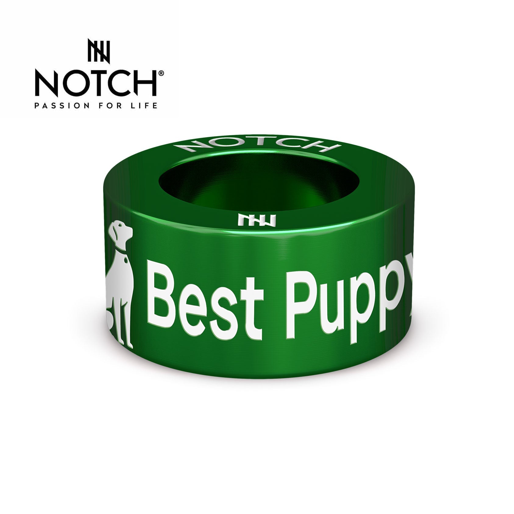 Crufts Best Puppy In Breed NOTCH Charm