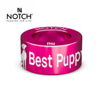 Crufts Best Puppy In Breed NOTCH Charm