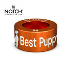 Crufts Best Puppy In Breed NOTCH Charm