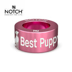 Crufts Best Puppy In Breed NOTCH Charm