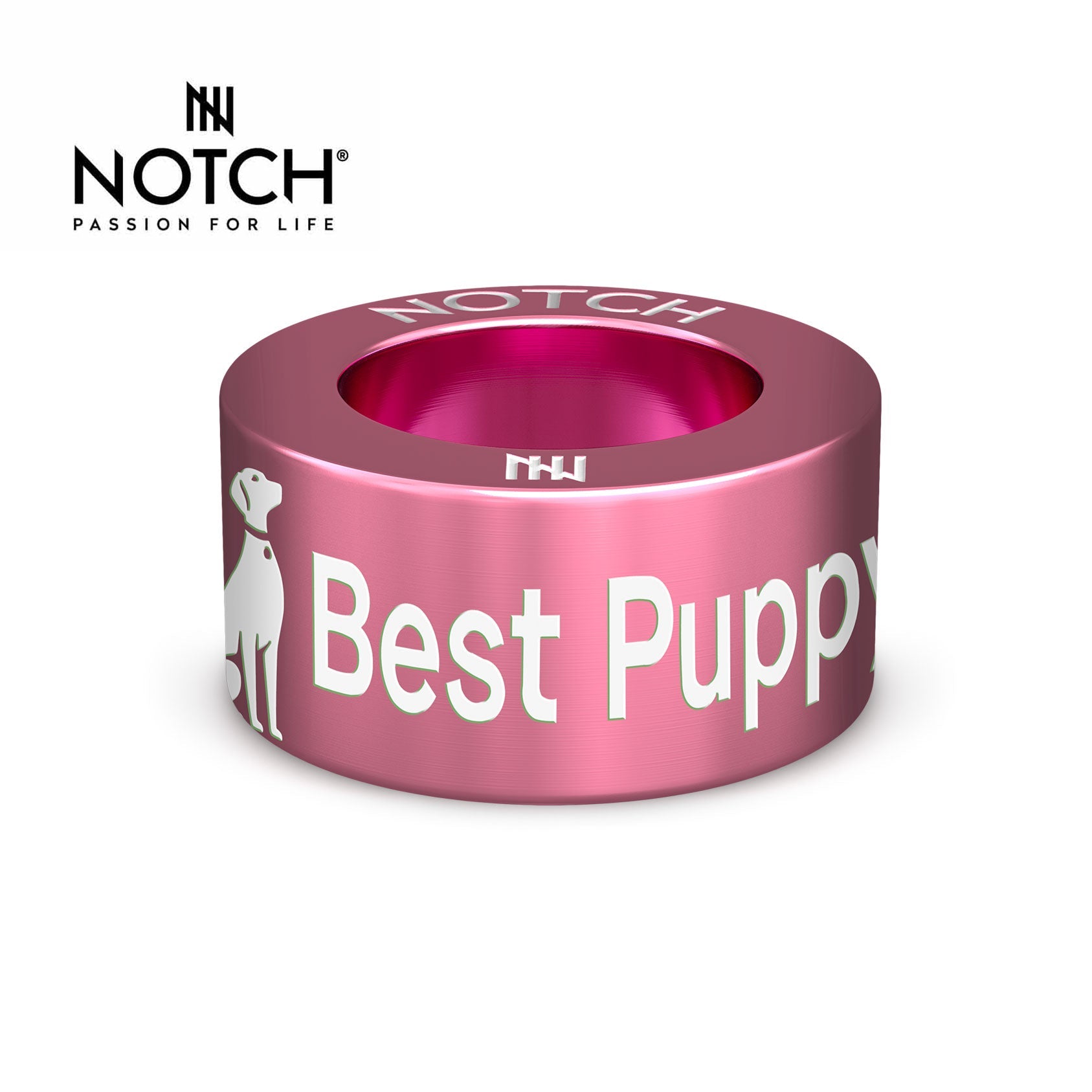 Crufts Best Puppy In Breed NOTCH Charm