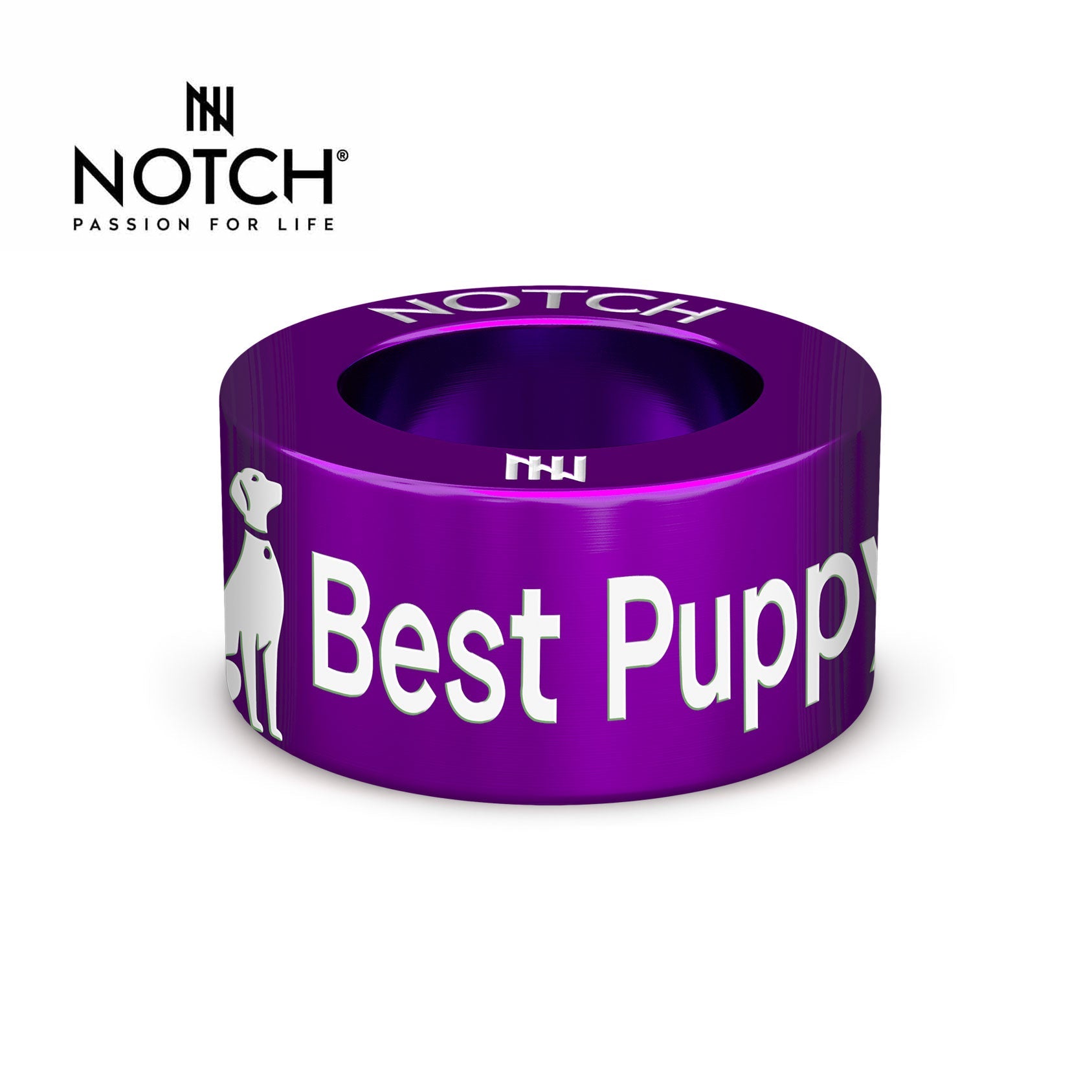 Crufts Best Puppy In Breed NOTCH Charm