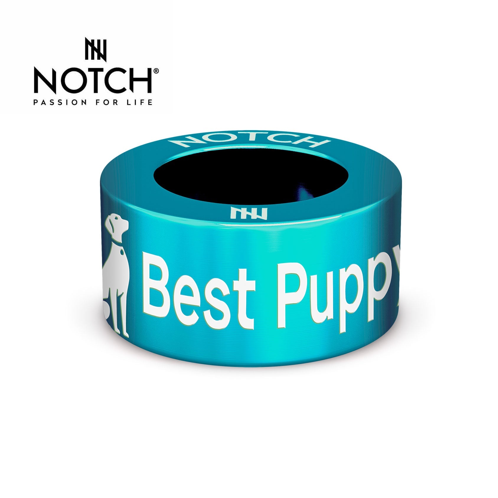 Crufts Best Puppy In Breed NOTCH Charm