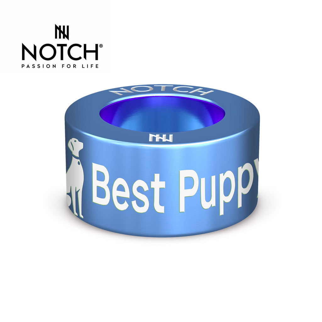 Crufts Best Puppy In Breed NOTCH Charm