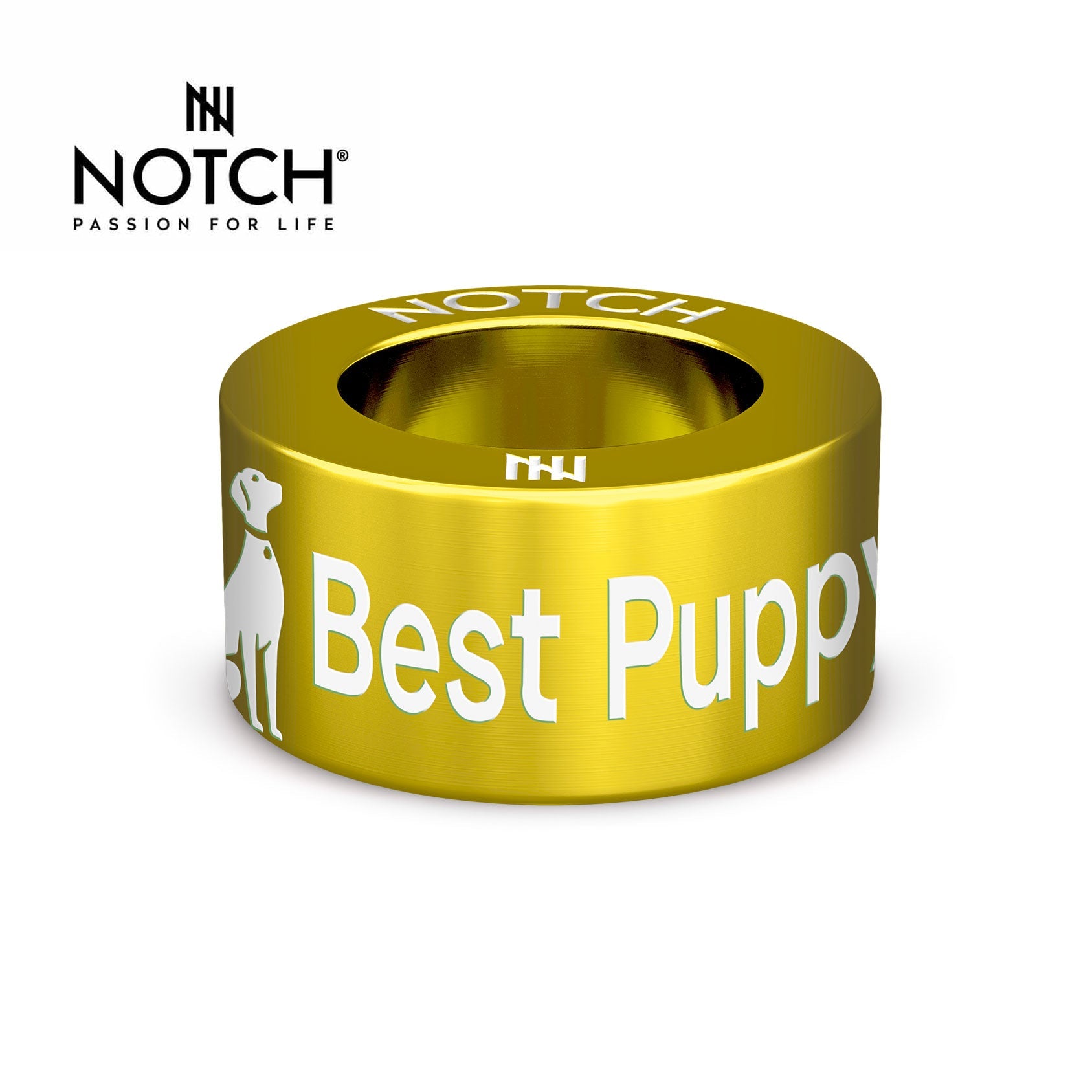 Crufts Best Puppy In Breed NOTCH Charm