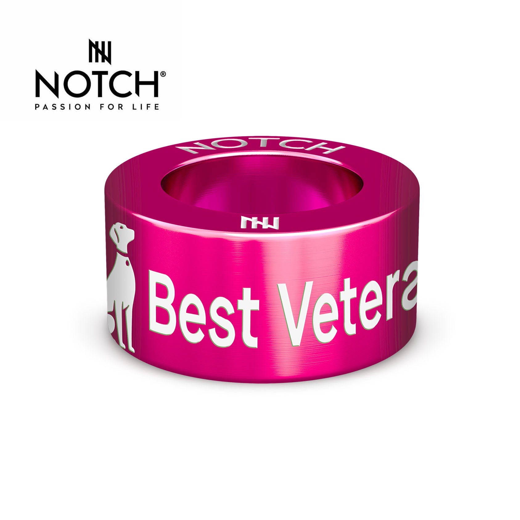 Crufts Best Veteran In Breed NOTCH Charm