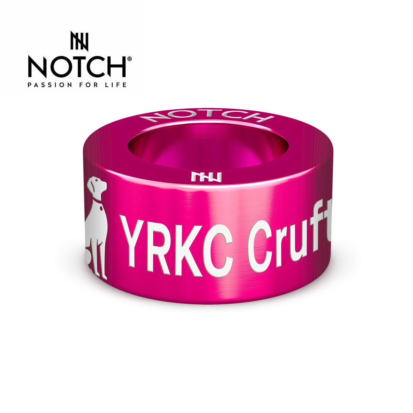 YRKC Crufts Qualifier NOTCH Charm